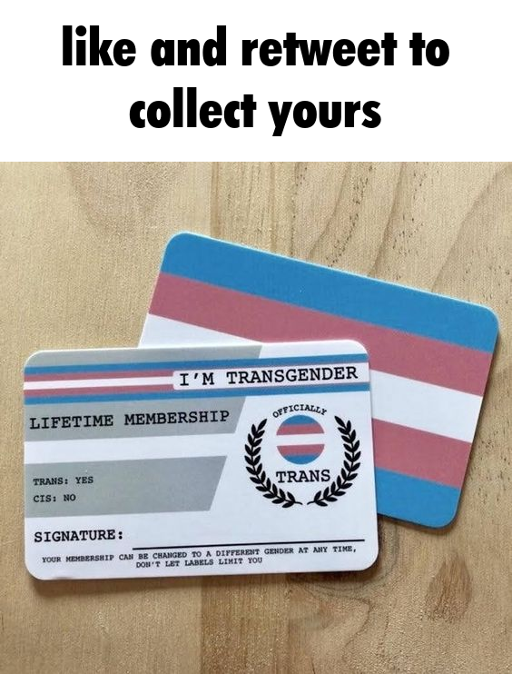 Eleanor 🇵🇸🏳️‍⚧️ 🇸🇪 ☭ tweet media