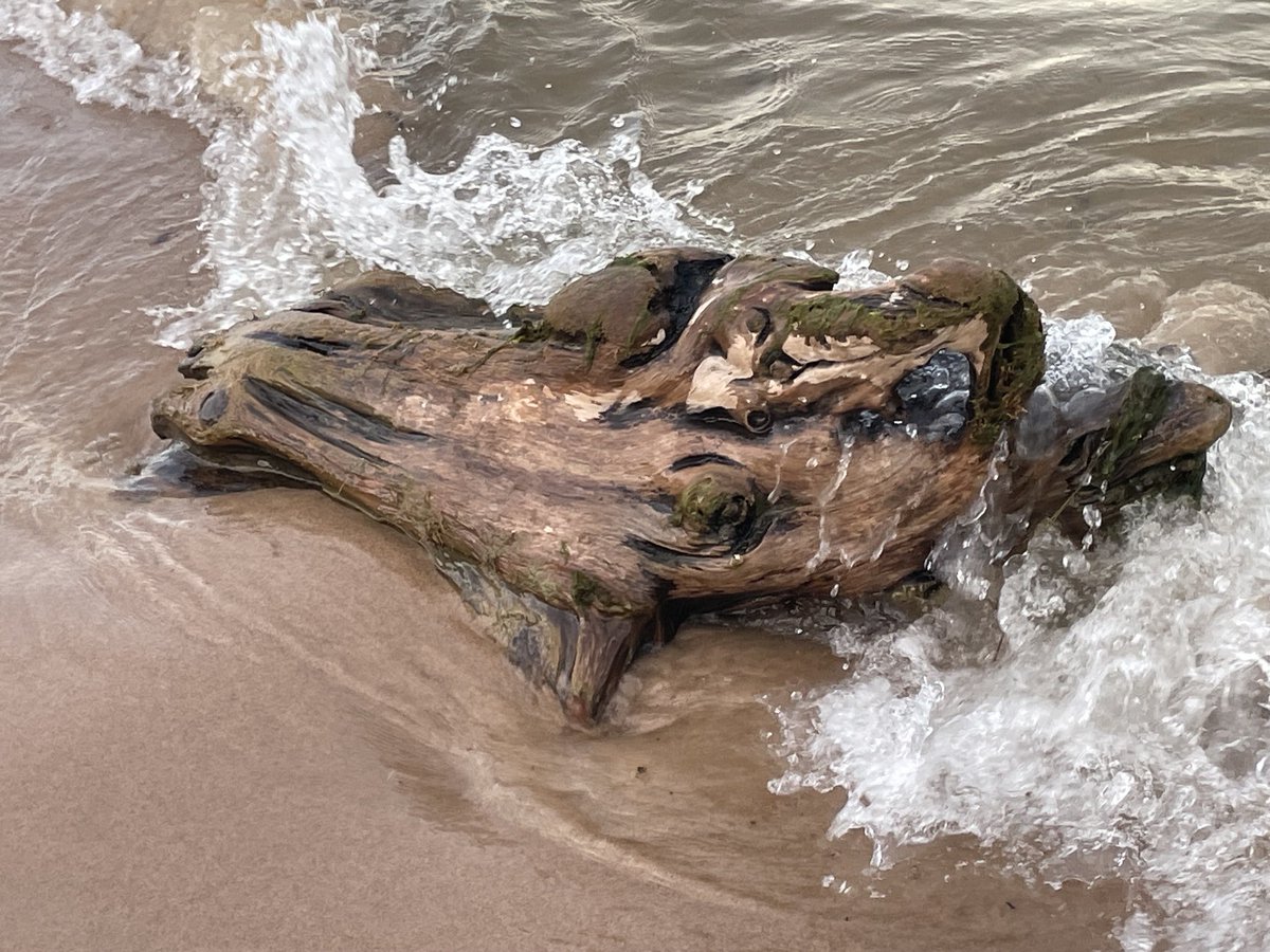runswstilettos's tweet photo. Scenes from the shore… #nature #shore #shoreline #beaches #lakes #water #inlandsea #lakemichigan #greatlakes #relaxation #serenity #evening #twilight #daysend #horizon #bigsky ⁦@StarboardRail⁩ ⁦@LakeMichigan13⁩ ⁦@LindseySlaterTV⁩ https://t.co/EBkfd46pfi