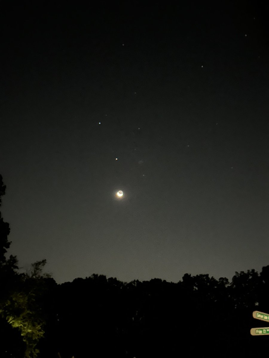 Chloe Ann tweet media