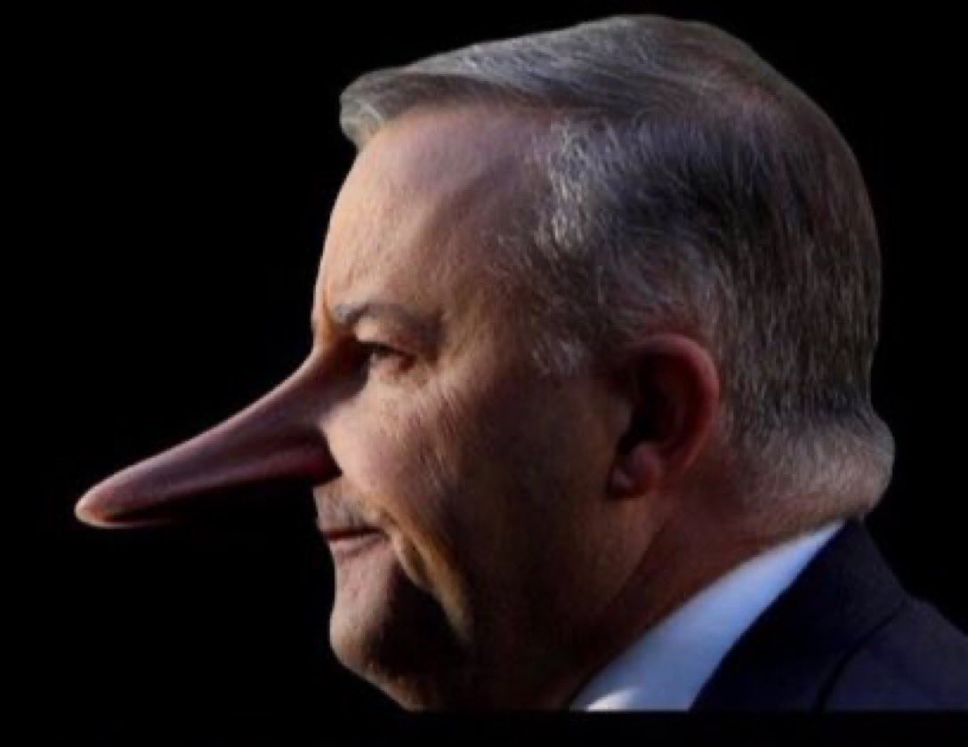 LivingBread's tweet photo. @JaneCaro You cannot believe a thing Albanese says.Simon Crean a Labor Party Icon said of Albanese he is a habitual liar. https://t.co/dfe3IsVyUW