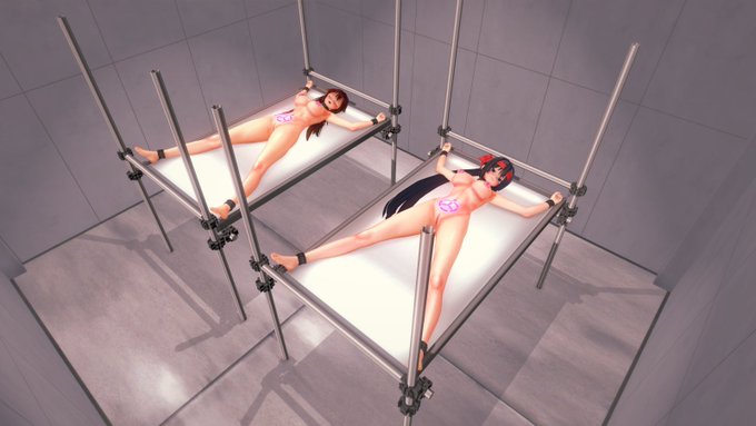 モルモットの監禁部屋 