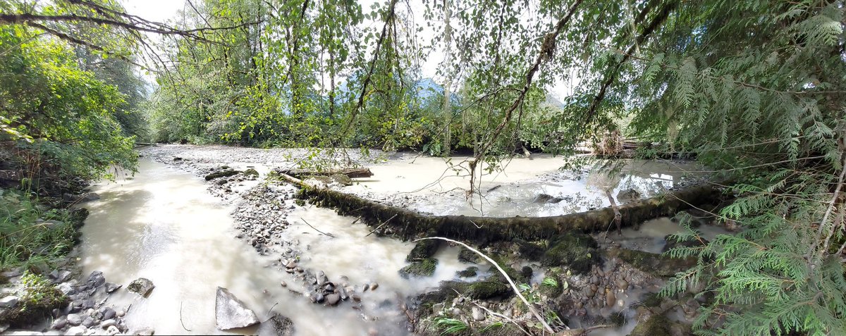 Kirstie_F's tweet photo. Really looking forward to sharing #RiverStyles with practitioners in Britsh Columbia hosted by @DFO_Pacific & @PSF. Getting my eye in on the #Squamish and #Thompson Rivers. So much foundation #geomorphology to finally see on-the-ground. Bucket list stuff. https://t.co/uQ3XXmc4vU