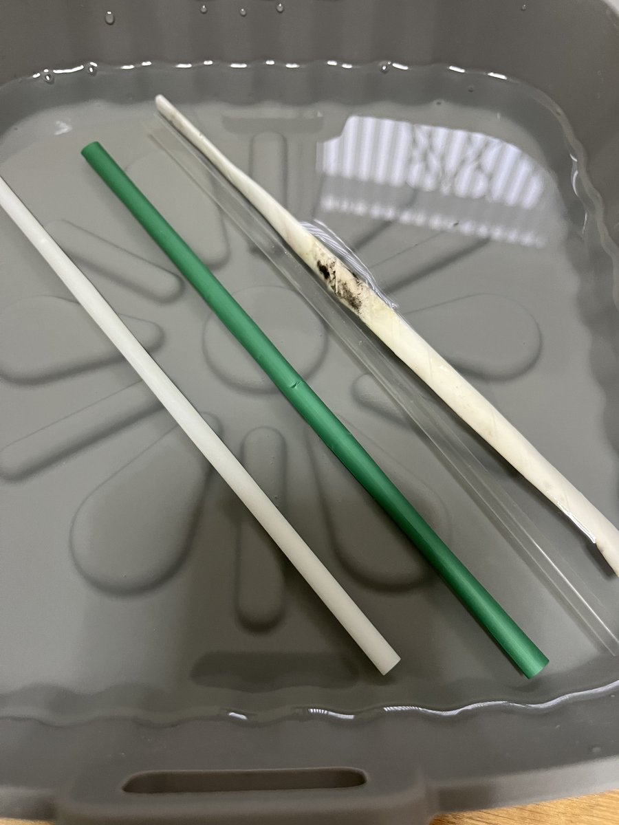 DAY 26: OMAO straw is starting to break down! 

Green straw the same.
Plastic straw the same.
Paper straw soggy and moldy.

What will happen in the next few days?
