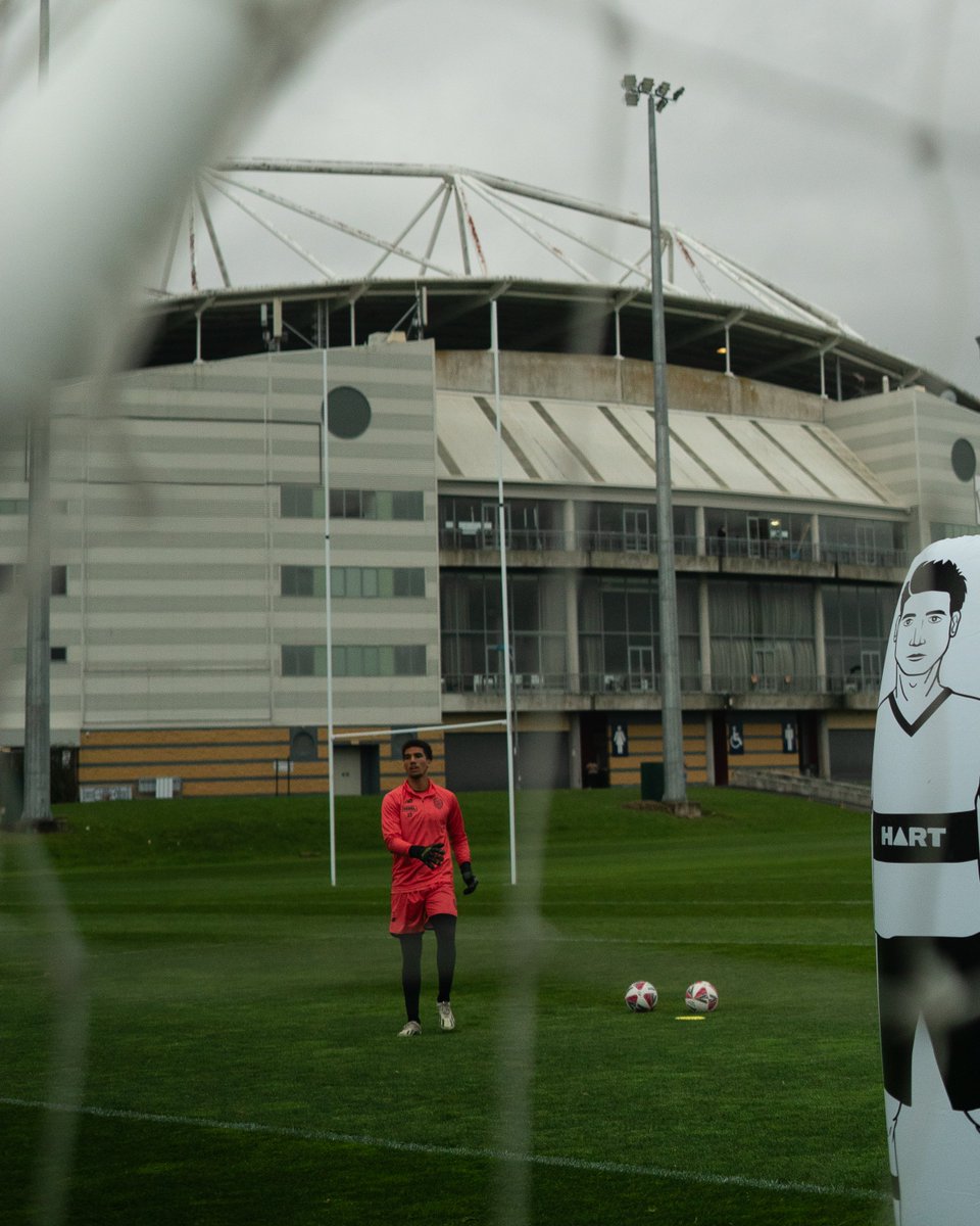 Auckland FC tweet media