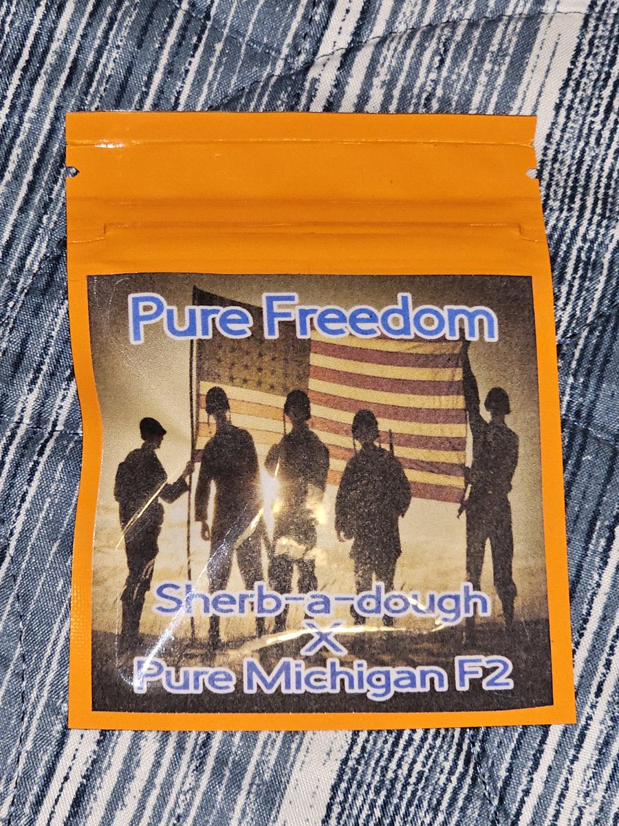 Real_MFG_Mtn's tweet photo. #pureFREEDOM
Sherb-a-dough x Pure Michigan f2
This baby is a special 1. Was created for our vets. Did a massive grow off .
Only way to get was to enlist. it has been requested for release.
Trichs grow on the rootball😆
9wk
Creamy dairy jetfuel cake terps
WeaponsGradeFire
⛰️🔥🧬 https://t.co/uiGbXBTGcU
