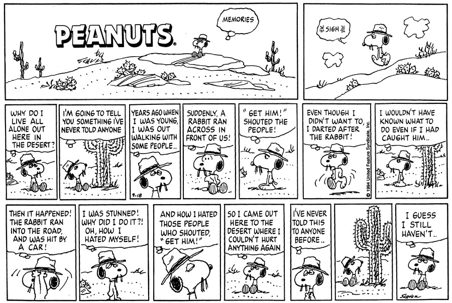 peanuts_no's tweet photo. September 18, 1994 https://t.co/HSQ698JdRd