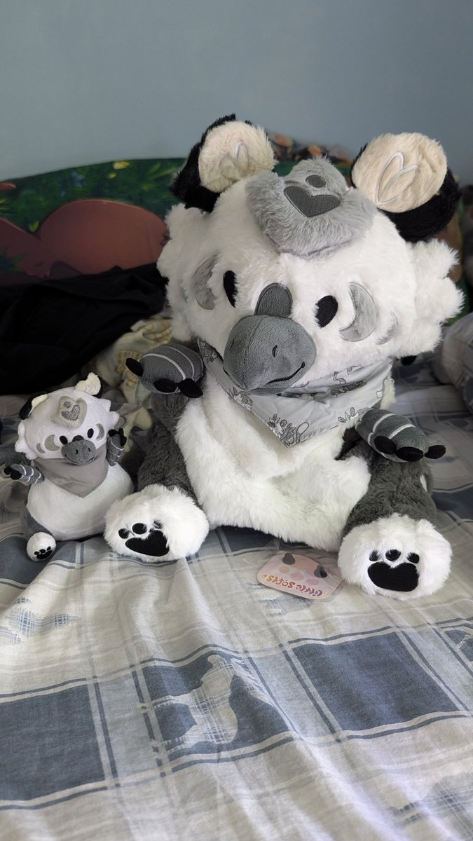 Ezraeia's tweet photo. Sesame from @littlesofts arrived! He's so sqooshy I love him https://t.co/YWbeXuFdqF