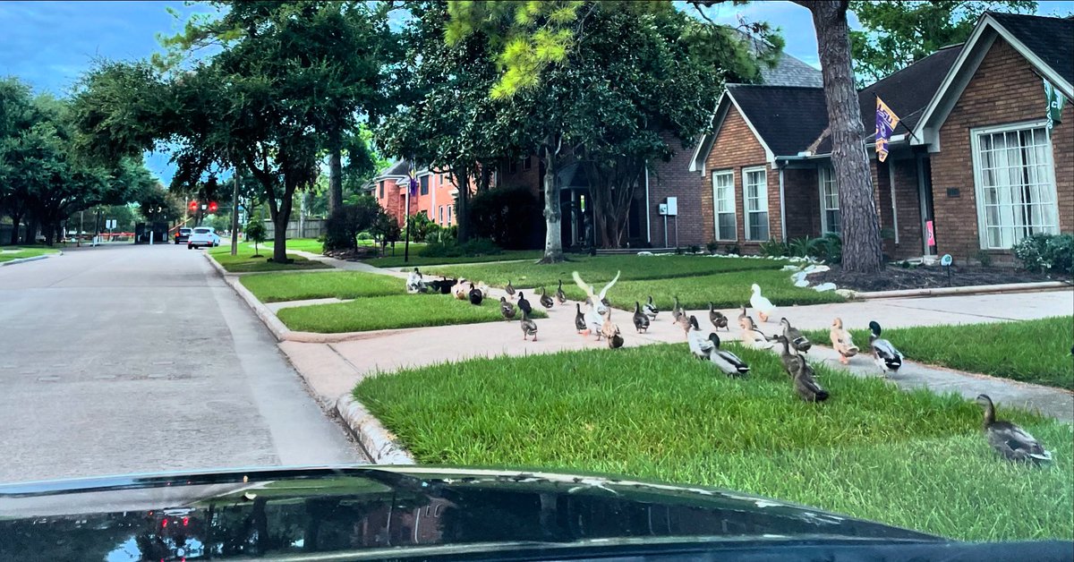 Lining up for Labor Day sales?
