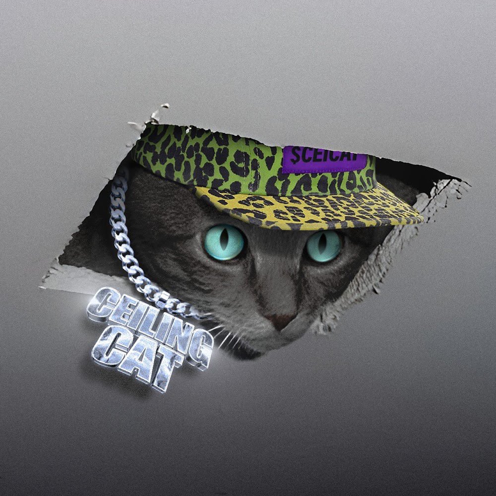sols7reetbets's tweet photo. i like the art.
Send it higher! #CeilingCat @Ceilingsolcat 🐈⬛🌹 https://t.co/yBm3TDKpAy