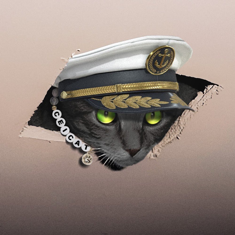 sols7reetbets's tweet photo. i like the art.
Send it higher! #CeilingCat @Ceilingsolcat 🐈⬛🌹 https://t.co/yBm3TDKpAy