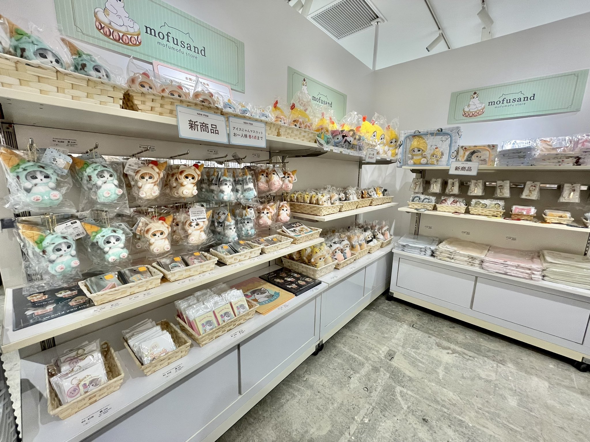 mofusand展 サメにゃん、えびにゃん イラストレーター「ぢゅの