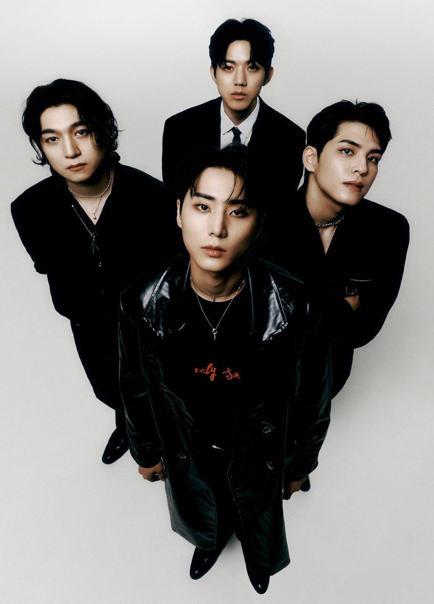 차카니 고양이 밥줬더니 친구들 데려옴