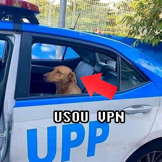 poha_tomKKK's tweet photo. OBRIGATÓRIO RETUITAR

Imagine a cara dos pais da mulekada recebendo uma intimação de execução no valor de R$ 100.000 lulas por que o filho de 15 anos usou VPN por 2 dias pra postar meme aq https://t.co/ETenz3aLGQ