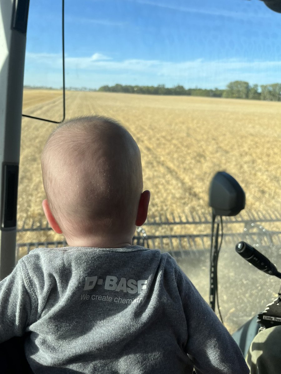 _Halloranm's tweet image. First combine ride with the little man!