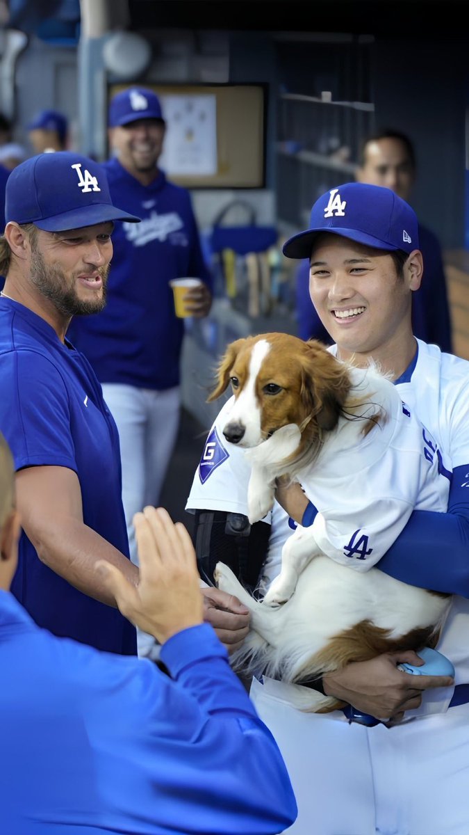Dodgers Nation tweet media