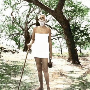 swamieaswara's tweet photo. Small desires such as the desire to eat, drink, sleep and attend to calls of nature, though these may also be classed among desires, you can safely satisfy. They will not implant vasanas in your mind, necessitating further birth.

SRI RAMANA MAHARISHI https://t.co/G0y9gw9M4b