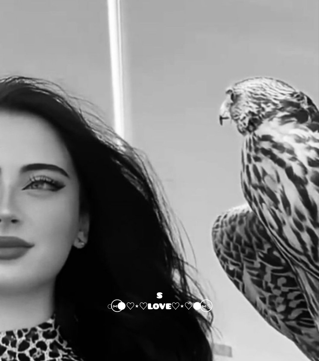 Let me ponder your eyes

Let their magic take me away Navigate them with on the dream space

Where there is no other than me

you

Let my ship reach your harbor

Safely to inhale your perfume And know your world and love your more

On the dream space
━━━━━━━━━━━━━━დ