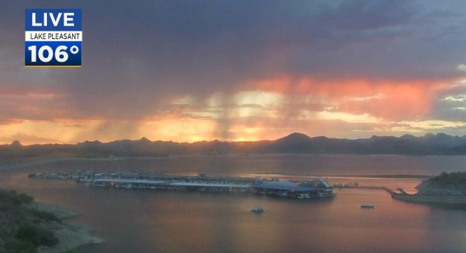 Holly Bock tweet media