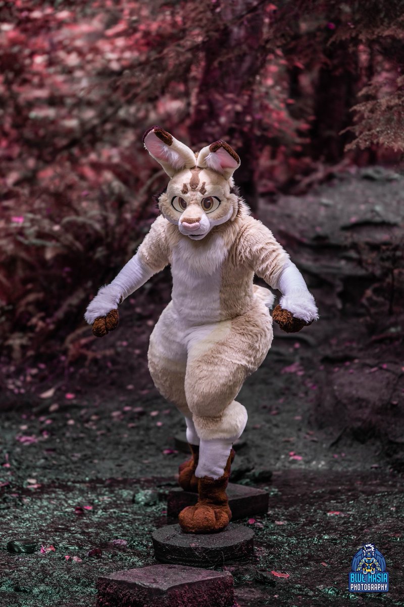 Exploring such a magical forest and finding a path laid out towards even more beautiful sights!

I need to go back there again. It was an amazing time!

#FursuitFriday 

📸 by the ever amazing <a href="/Bluehasia/">Aureum</a>!
Fursuit by: <a href="/lemonbrat/">Lemonbrat 🌈🍋💛</a>