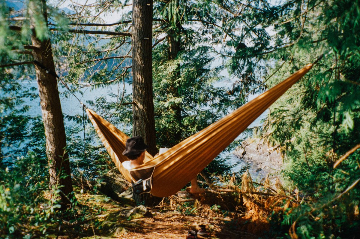 vinc3.eth tweet media