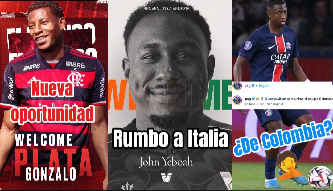 PLATA ES NUEVO JUGADOR DEL FLAMENGO!! TERRIBLE ERROR DEL PSG CON PACHO 🤦 FICHAJES DE ECUATORIANOS 🇪🇨
youtu.be/mLng6XVPpv4?si…

#ecuador
#ECU 
#GonzaloPlata 
#futbolista