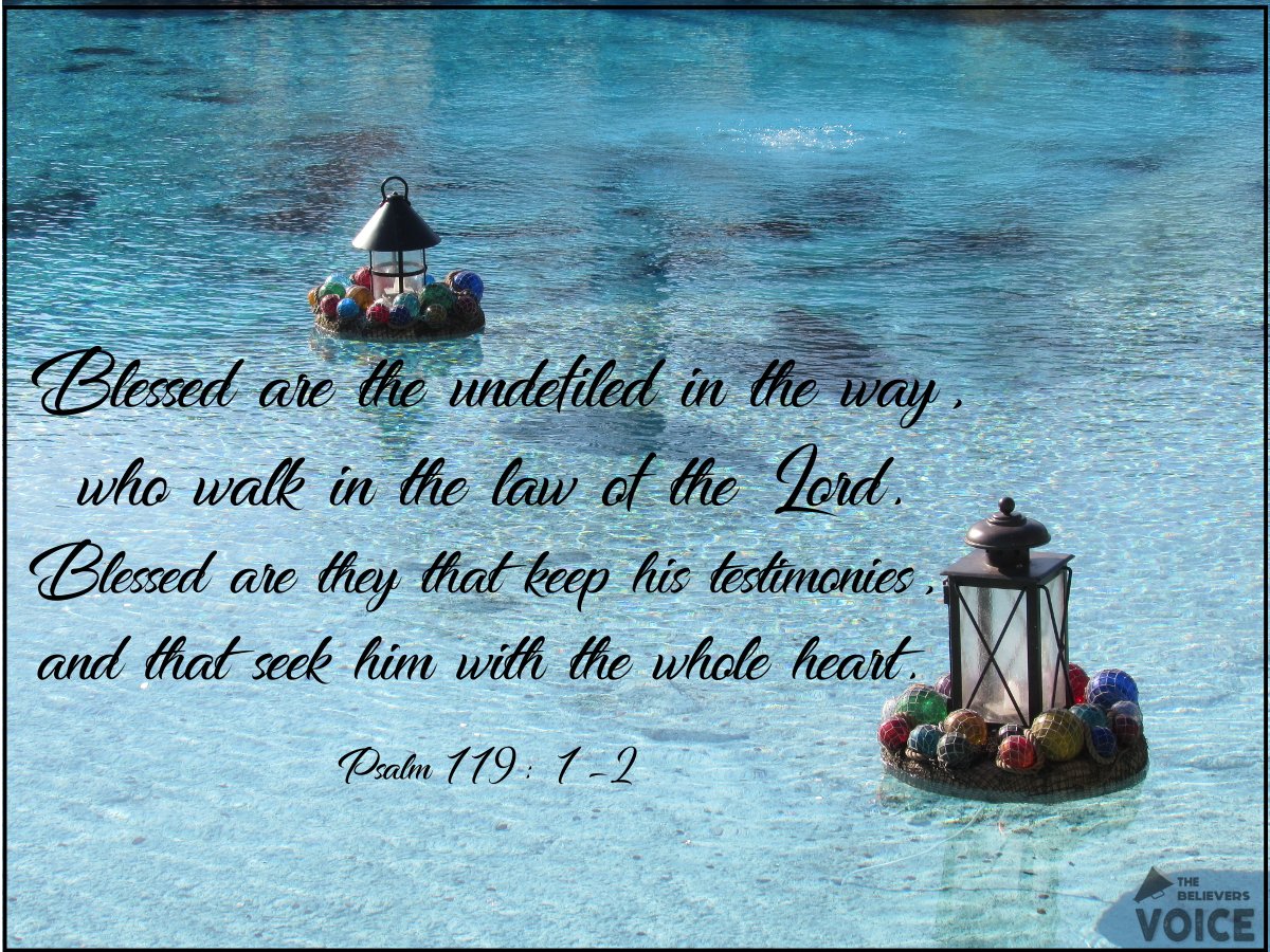 The Believers Voice tweet media