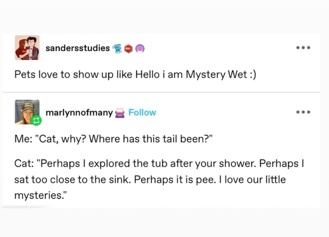 mystery wet