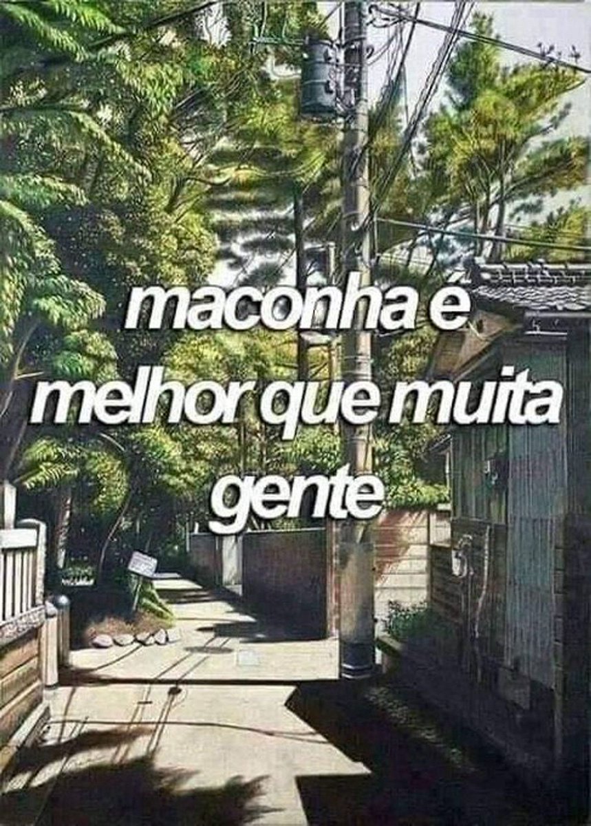 canabisbrasil's tweet photo. https://t.co/hAjgbldH1Y