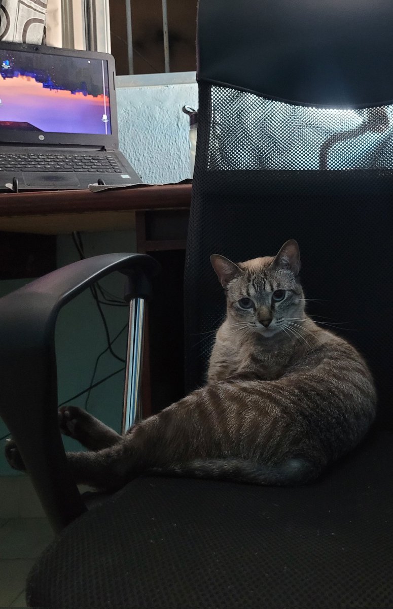 Tentativa 10