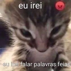 bangcxtcher's tweet photo. @cannibalkoorpse si https://t.co/JuP7tjuUxu