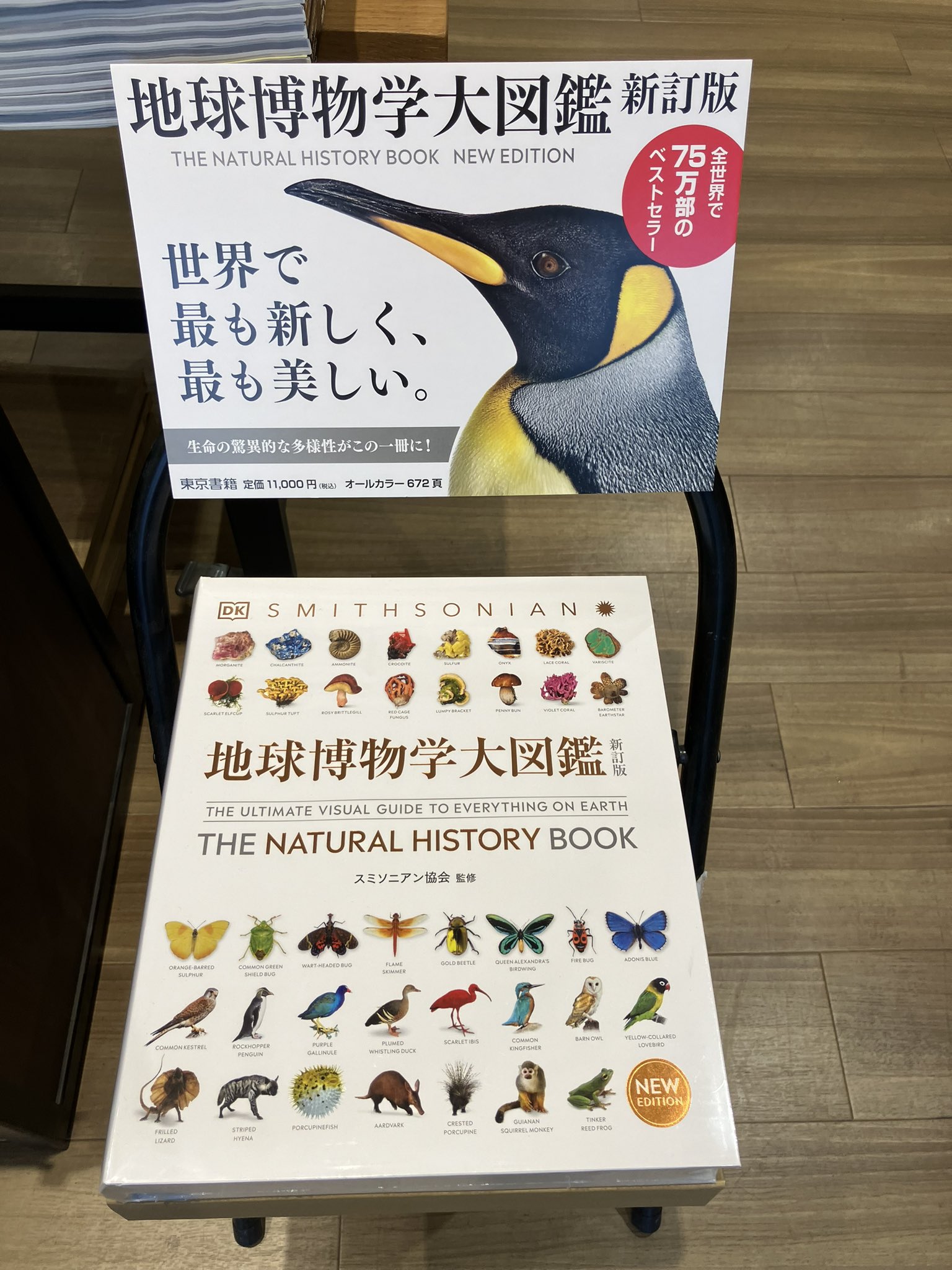 地球博物学大図鑑 新訂版　★最終値下げ売り切り希望 Amazon.co.jp: 地球博物学大図鑑 新訂版 : スミソニアン協会