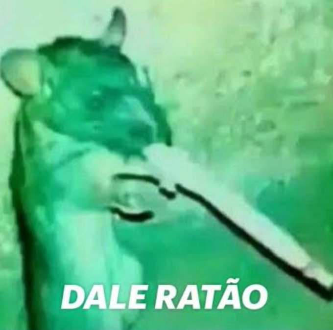 O palhaço que se esconde dos g*** tweet media