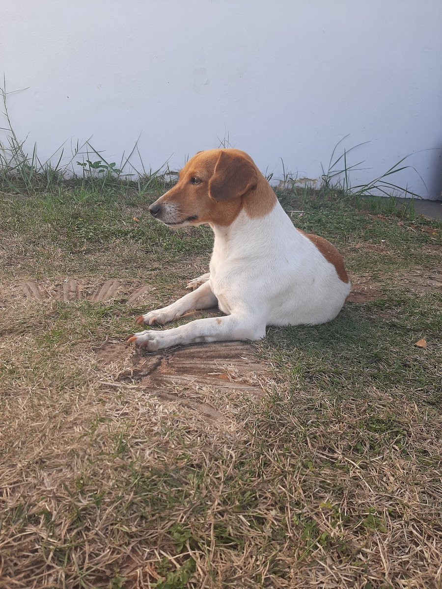 quel 🦕 tweet media