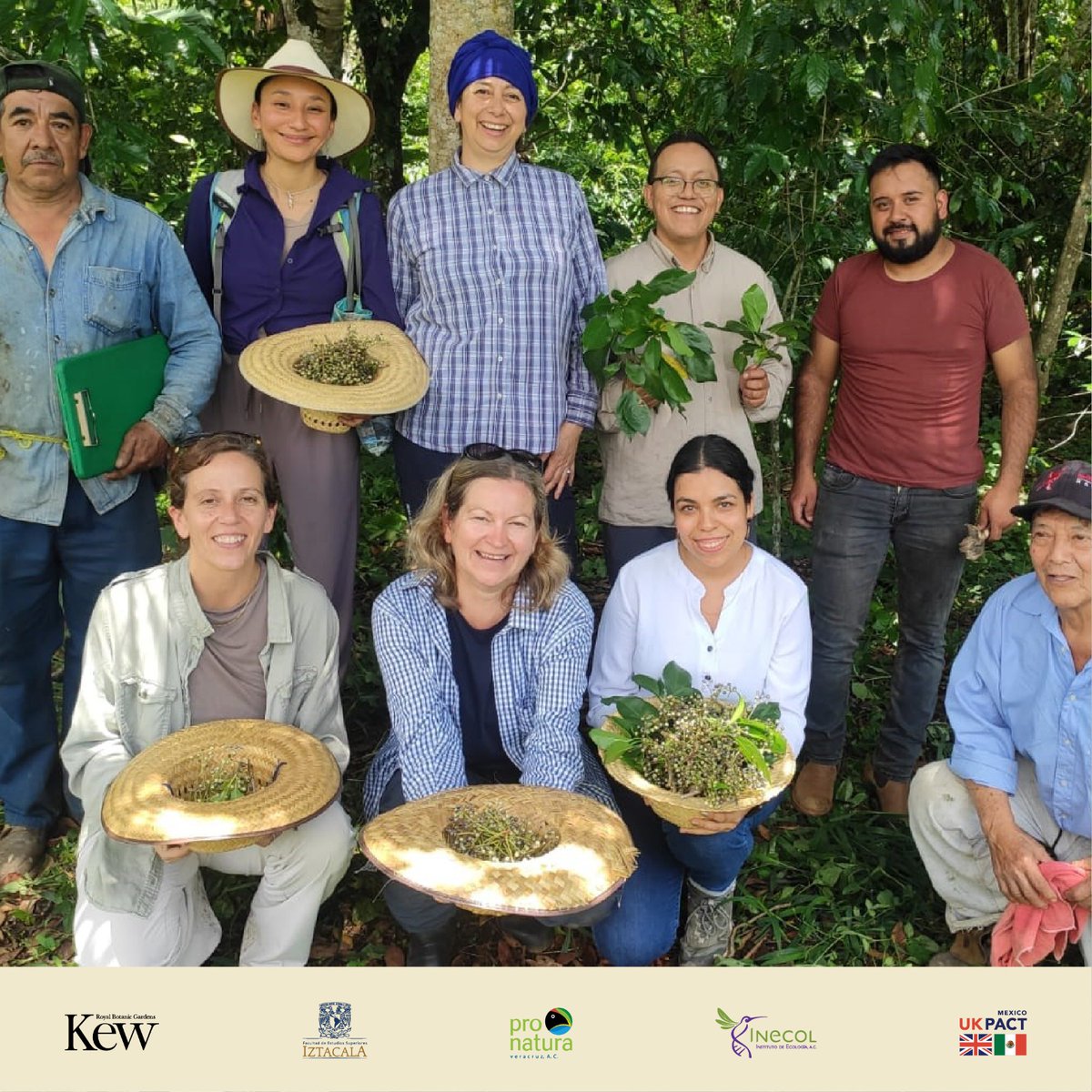 Pronatura Veracruz tweet media