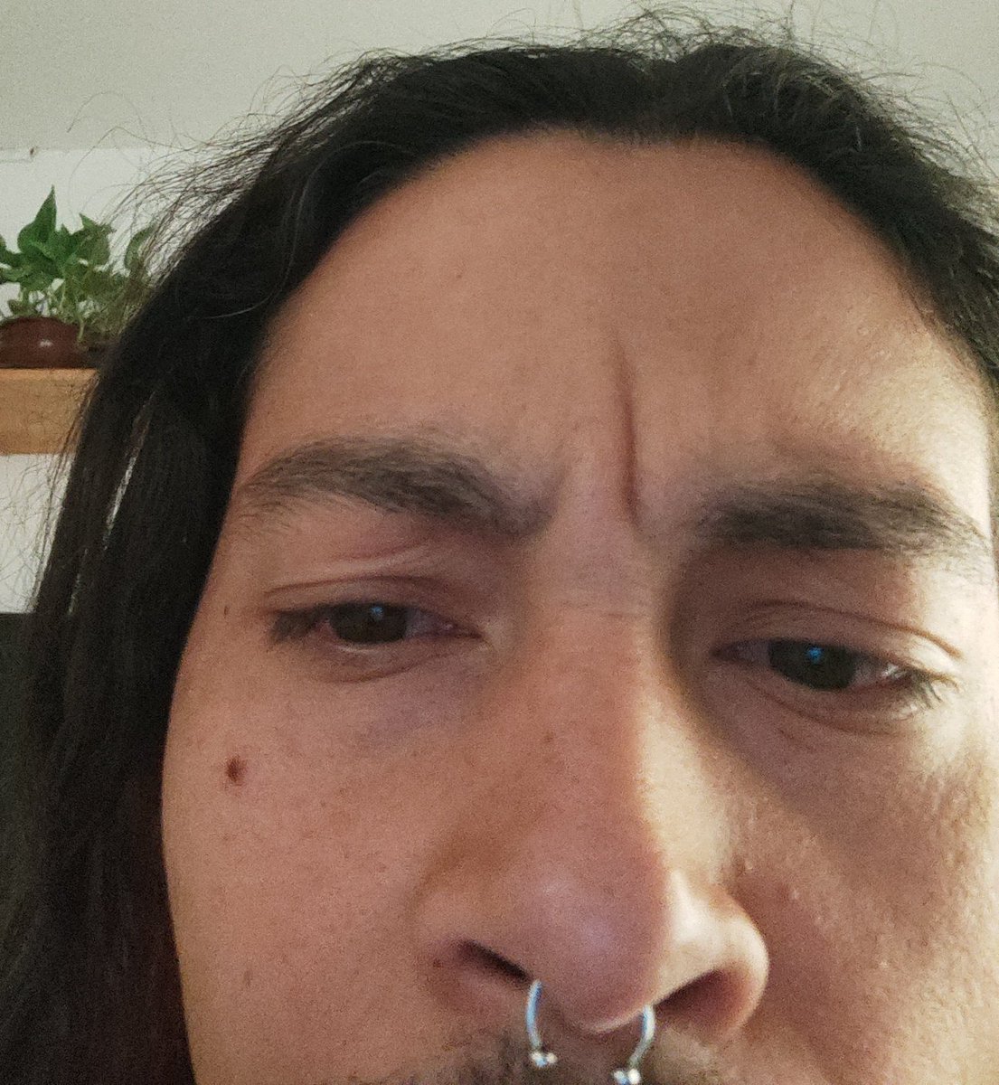 Nero 🇵🇸 tweet media