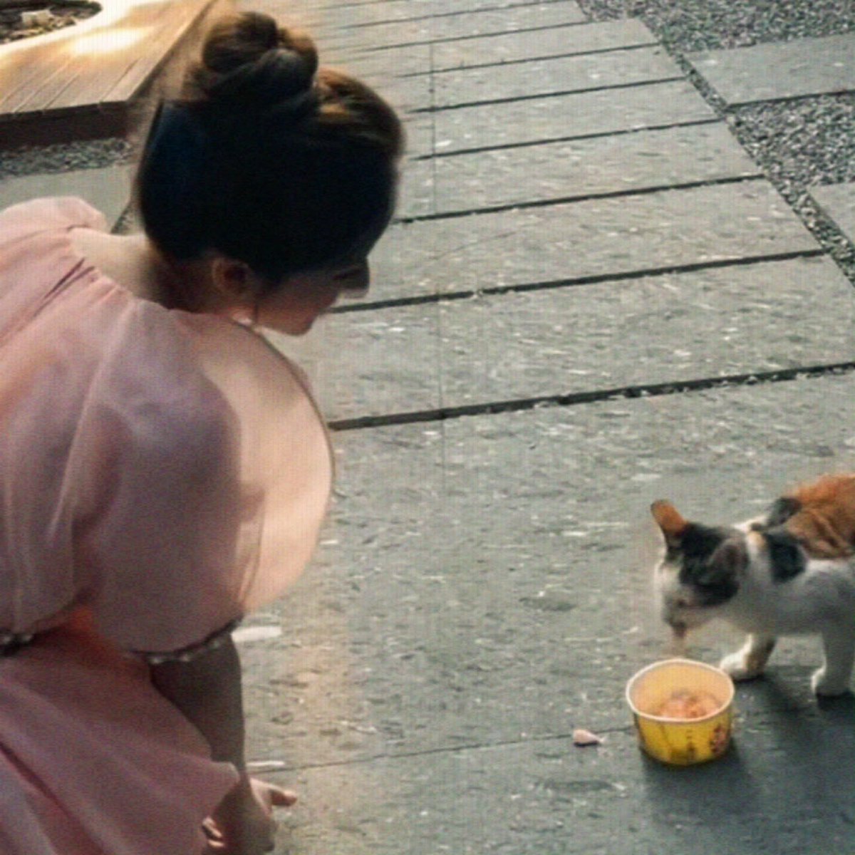 wonwoncity's tweet image. girlfriend rosy 🌻☁️