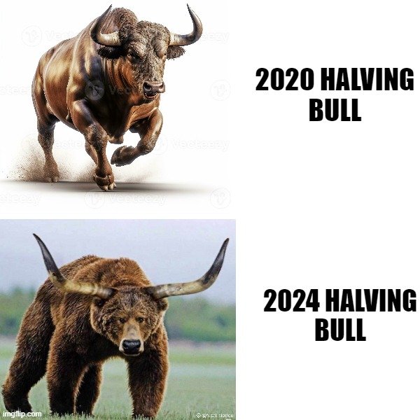 Crypto- #Memecoins #Zbitcoin tweet media