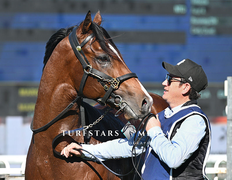 TURFSTARS Media (@lisagrimm9) on Twitter photo 🥇 STORM BOY (Justify x Pelican)
Takes the honours in the feature SMITHFIELD RSL SAN DOMENICO STAKES (1100 METRES) 🥇 STORM BOY (Justify x Pelican)
Takes the honours in the feature SMITHFIELD RSL SAN DOMENICO STAKES (1100 METRES)