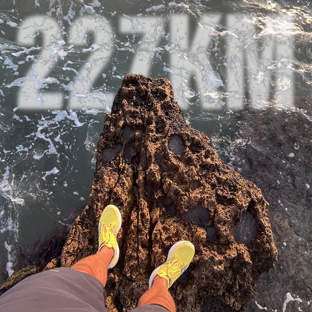 Shaun Cuff tweet media