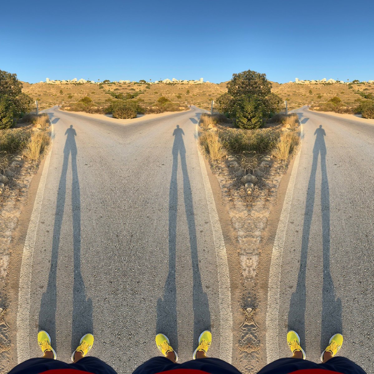 Shaun Cuff tweet media