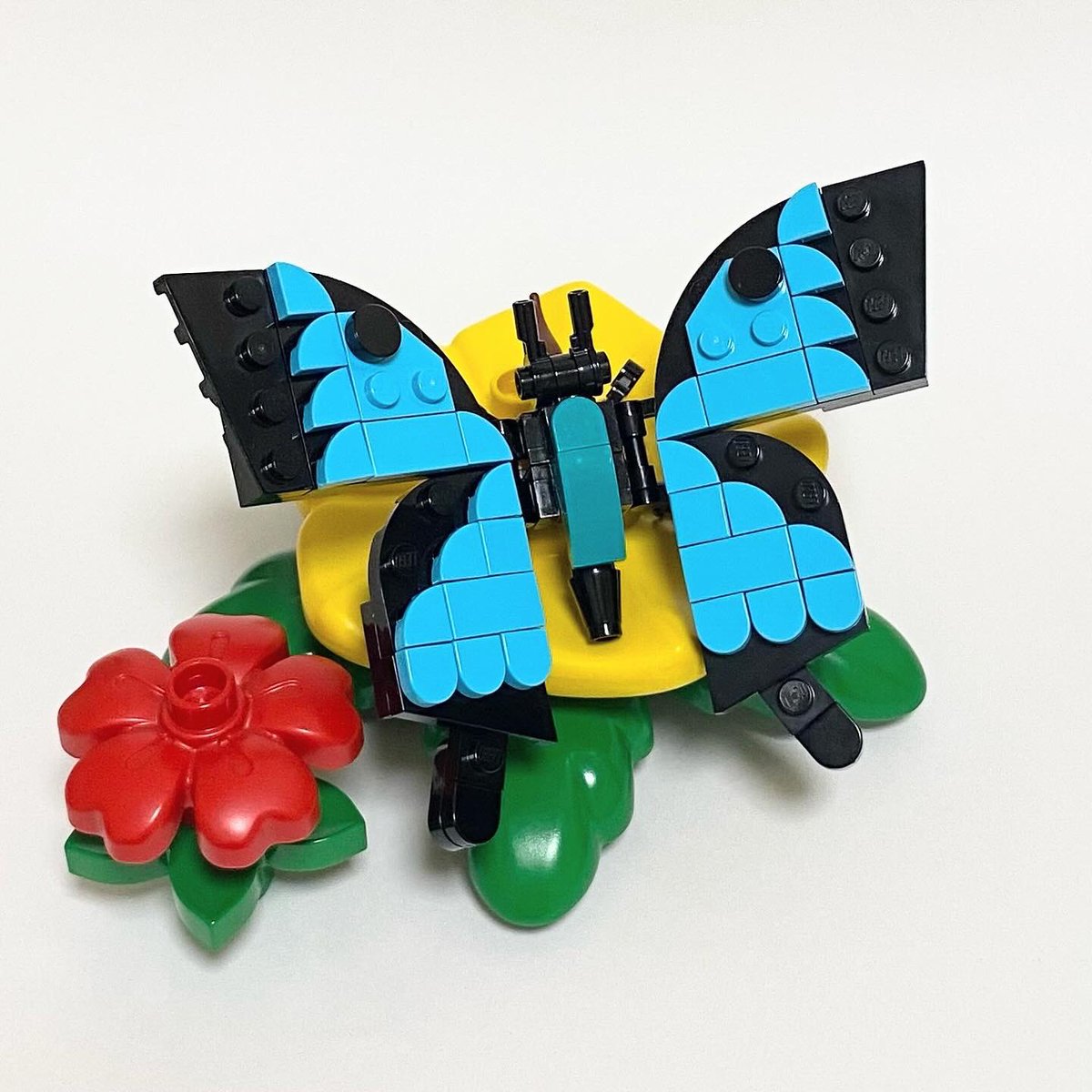 sunny8run's tweet photo. レゴでオオルリアゲハを作ってみました🦋
#LEGO #insectcollection https://t.co/gBTaz4sBXH