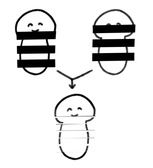 こういうこと、厳密にはカリ部分は外せないのでここまでキレイにはできないだろうけど 