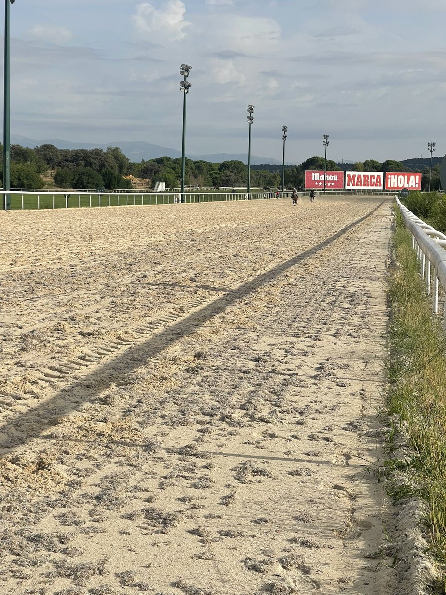 Oscar Blazquez tweet media