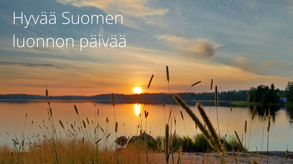 eHelenaBerg's tweet photo. Hyvää Suomen luonnon päivää! Ja liput liehumaan.
Saimaan rannat ovat itselleni tärkeitä voimaantumisen lähteitä. Entä sinulle?
#SuomenLuonnonPäivä https://t.co/Vuaosljham