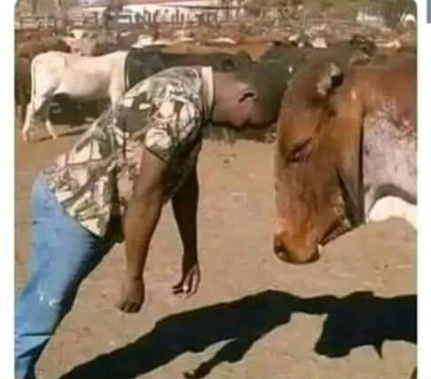 Colonel_xander's tweet photo. @iamjuddah Kuexercise kidogo😂😂 https://t.co/ZExxdXhAdc