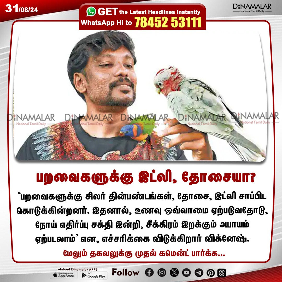 dinamalarweb's tweet photo. பறவைகளுக்கு இட்லி, தோசையா?
#Chellame| #PetTips| #PetsLover| #Birds| #BirdsTips| #PetsFood
https://t.co/y4W3uzOWeZ https://t.co/mogSCkqrx6