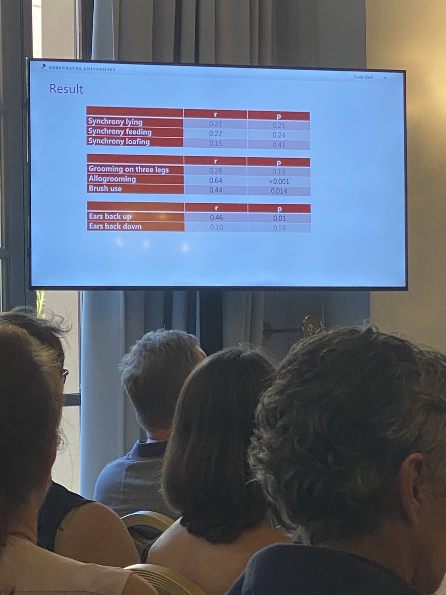 Maria Vilain Rørvang tweet media