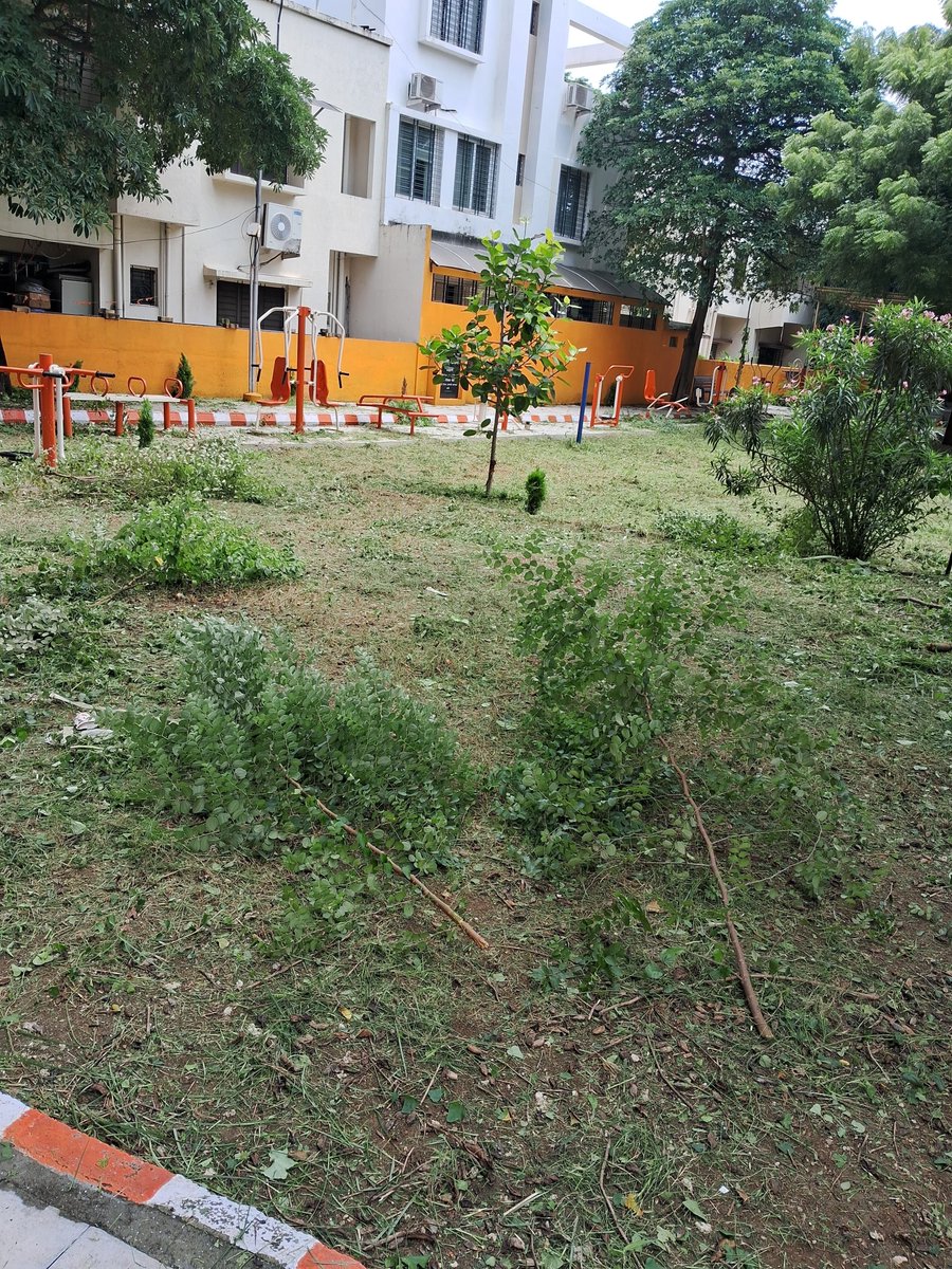 MandarWelankar's tweet photo. Friends Colony Playground, Pratap Nagar, Near RPTS, Nagpur. 

NMC Playground Grass &amp; Weeds cleared today at 1pm THANKS. Cleaning and Collection pick up awaited. No sweeper assigned for regular cleaning. @ngpnmc  @NagpurTOI https://t.co/H0xe7miHhL