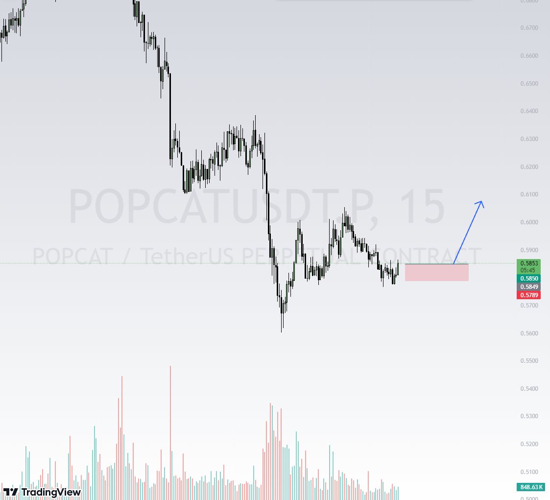 #popcat 止损1%