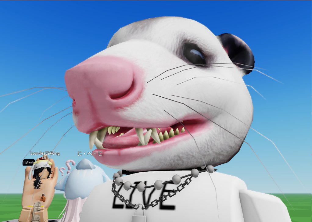 SafeForSyrup's tweet image. made a possum head for roblox but they wont let me upload it. chungus life.